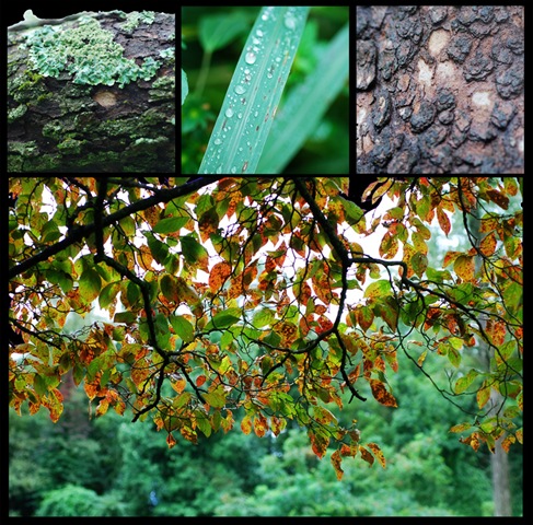 [Wet collage copy 2[4].jpg]